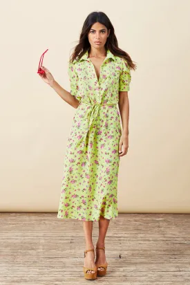 Amalia Dress in Lime Ditsy