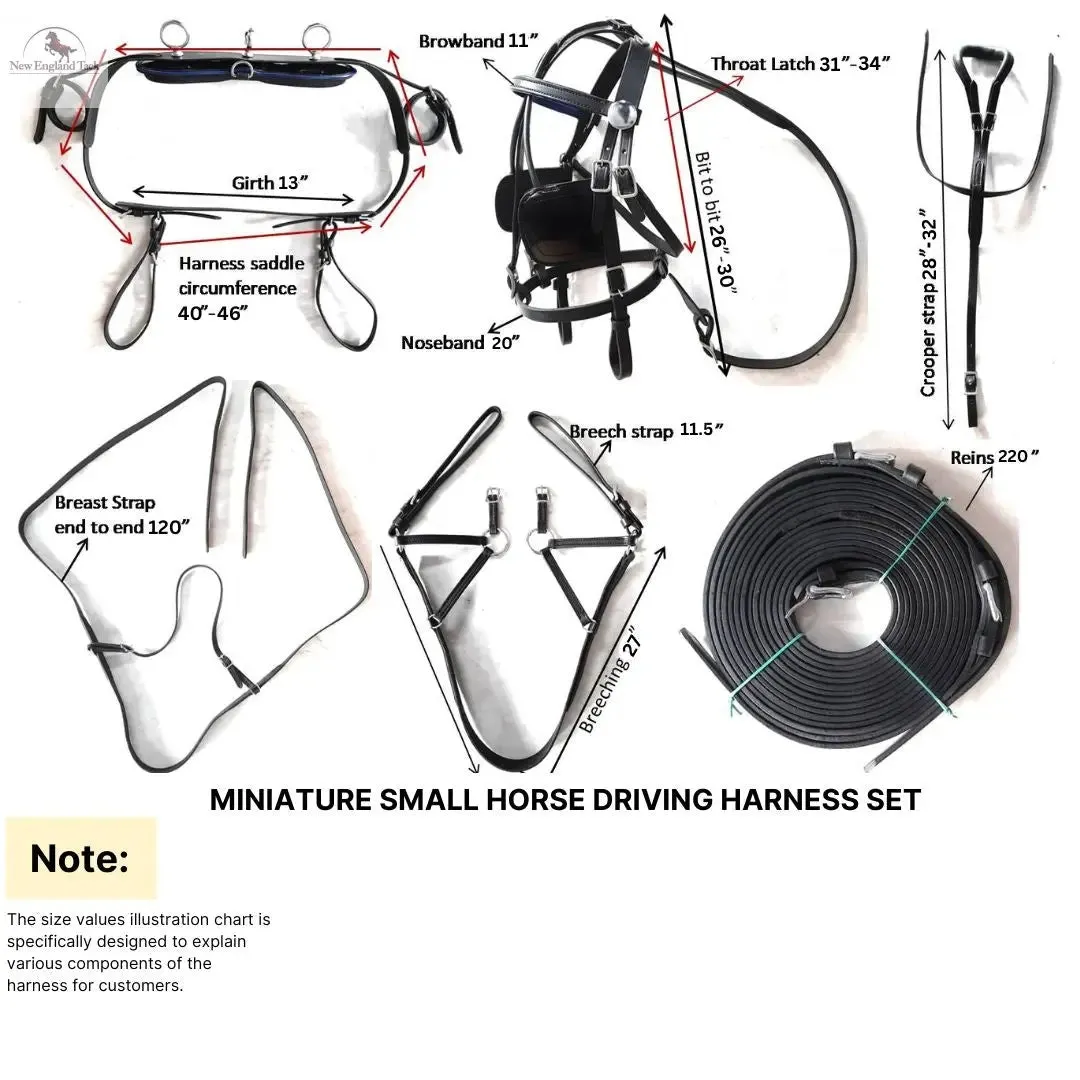 Miniature Horse Black Patent Leather Driving Harness with Red and White Trim